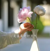 最美人间四月天，美好环环相扣，让我们好好生活，慢慢相遇。配图