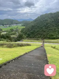一個(gè)人總是感到孤獨(dú)，本質(zhì)上是“內(nèi)在情感需求”與“外在連接狀態(tài)”的不匹配，常見(jiàn)原因可歸為三類，核心是“渴望的理解、陪伴或歸屬?zèng)]被滿足”。
1.?情感連接的“質(zhì)量不足”：不是身邊沒(méi)人，而是現(xiàn)有關(guān)系里缺乏“深度共鳴”。比如和家人朋友相處時(shí)，只能聊表面話題（工作、天氣），不敢或不能分享真實(shí)的脆弱、迷茫，久而久之會(huì)覺(jué)得“沒(méi)人真的懂我”，即使身處人群，內(nèi)心仍像獨(dú)自待著。
?2.?社交模式的“被動(dòng)或封閉”：有些人習(xí)慣被動(dòng)等待別人主動(dòng)靠近（比如從不主動(dòng)約朋友、不敢加入新圈子），或因過(guò)去的負(fù)面經(jīng)歷（比如被拒絕、被忽視）而刻意封閉自己，導(dǎo)致難以建立新的連接；還有人沉迷線上社交（刷手機(jī)、聊網(wǎng)友），但線上的“虛擬連接”無(wú)法替代線下真實(shí)的陪伴（比如一個(gè)擁抱、面對(duì)面的傾聽(tīng)），反而會(huì)因?qū)Ρ雀X(jué)孤獨(dú)。
3.?自我認(rèn)知的“內(nèi)在缺口”：當(dāng)一個(gè)人過(guò)度依賴“別人的認(rèn)可”來(lái)確認(rèn)自己的價(jià)值時(shí)，一旦身邊沒(méi)有關(guān)注、沒(méi)有回應(yīng)，就容易陷入“我不重要”“我被遺忘了”的自我否定，進(jìn)而放大孤獨(dú)感；還有人對(duì)“孤獨(dú)”本身有恐懼——覺(jué)得“孤獨(dú)=可憐=失敗”，越害怕越想逃避，反而讓孤獨(dú)感更難擺脫。配圖