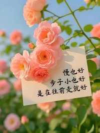 生活要尽心，也要随心，更要开心；自己喜欢的日子，就是最好的日子，自己喜欢的活法就是最好的活法；不慌不忙，做自己的小太阳！配图