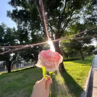 那就送你一枝花吧！
愿你心向暖陽，不被煩惱絆住腳步，自在前行。配圖