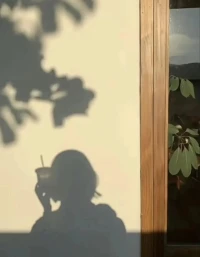 生活不论好与坏，每天都是限量版。配图