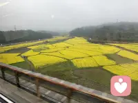 人生的意义不在于拿到一手好牌，而在于打好一手坏牌。—卡耐基《人性的弱点》配图