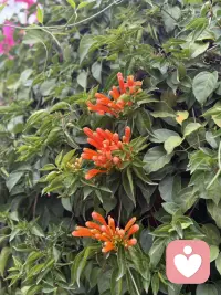 永远不要美化那条你未选择的路。如果你觉得后悔，是因为现在的你，还没有走到让自己满意的阶段。《不要担心2小时和8公里以外的事情》