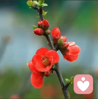 心有山海，静而不争；
眼有星辰，淡而不惊。
不随风乱，不住名姓；
不执过往，不染尘埃。
守～～～～一份安宁。配图