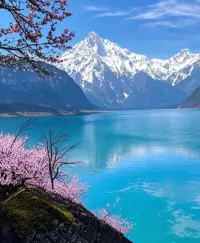 “曾经以为，风花雪月才是景，后来发现，柴米油盐皆是诗。和睦的家庭，健康的身体，豁达的心态，我们穷尽一生追求的幸福，也莫不过如此配图