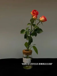 ? ? “做一個比昨天更好的人，是給自己最好的禮物。”配圖