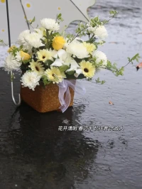 生命中總有人缺席，多年后方才醒悟，
以前擁有的原來只是輕若塵埃。配圖