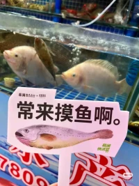 首先你要快乐，其次都是其次！配图