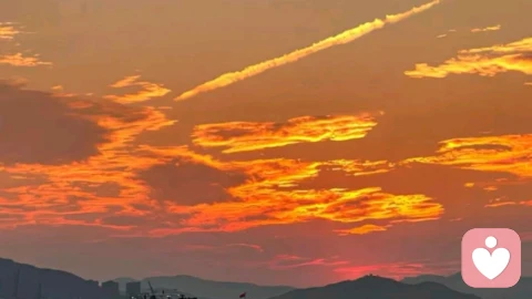 为什么你对痛很敏感,对幸福感到无聊