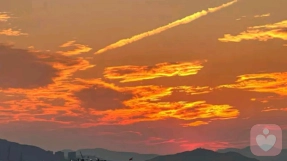 为什么你对痛很敏感，对幸福感到无聊