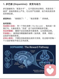 怎么获得四种大脑快乐激素
✨ 解锁大脑的快乐密码！500字带你玩转D.O.S.E.能量补给站 ✨
大家有没有发现，有时候我们会莫名感到动力十足，有时候又只想瘫在沙发上自我怀疑？其实，这背后全是大脑里的“快乐激素”在操控！🧠
想要科学地掌控快乐？这篇 D.O.S.E. 补给指南 请一定要收藏！👇
1️⃣ 多巴胺 (Dopamine)：你的“动力源泉” 🚀
多巴胺不是奖励本身，而是追求目标时的渴望。它让你产生“我能行”的掌控感。
获取捷径： 拒绝拖延！把大任务拆解成清单，每打一个勾，多巴胺就爆发一次！此外，补充富含酪氨酸的肉类或坚果，保证睡眠，都能让你的“动力电池”时刻满格。
2️⃣ 内啡肽 (Endorphins)：天然的“止痛良药” 🧘‍♂️
它是身体为了对抗压力和痛苦而分泌的，能带来运动后的那种“酸爽”和极度的平静。
获取捷径： 冲刺跑、举重或是酣畅淋漓的HIIT！如果你不想动，大笑一场、尝试吃点辣，甚至吃一块高纯度黑巧克力，都能骗大脑释放这种“痛并快乐着”的精华。
3️⃣ 血清素 (Serotonin)：情绪的“稳定锚点” ☀️
如果你感到焦虑或莫名沮丧，可能是血清素不足。它决定了你的宁静感和自信度。
获取捷径： 每天去户外晒20分钟太阳，配合有氧散步，效果立竿见影！别忘了照顾好你的肠道（90%的血清素源自这里），多喝酸奶，多练习正念冥想。
4️⃣ 催产素 (Oxytocin)：爱的“情感粘合剂” ❤️
它能降低压力水平，让你感受到被爱与被需要。
获取捷径： 别害羞，去拥抱你的爱人或家人20秒以上！或者回家疯狂撸猫撸狗。真诚地赞美同事，或帮邻居提个东西，这种社交连接产生的温暖就是催产素。
🌈 快乐总结表：
> 多巴胺：奖赏与动力 → 搞定任务、享用美食
> 内啡肽：镇痛与耐力 → 疯狂运动、开怀大笑
> 血清素：宁静与稳定 → 户外阳光、冥想呼吸
> 催产素：爱与连接 → 亲密拥抱、社交互动
快乐不是运气，而是一种可以被管理的生理状态。