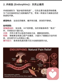 怎么获得四种大脑快乐激素
✨ 解锁大脑的快乐密码！500字带你玩转D.O.S.E.能量补给站 ✨
大家有没有发现，有时候我们会莫名感到动力十足，有时候又只想瘫在沙发上自我怀疑？其实，这背后全是大脑里的“快乐激素”在操控！🧠
想要科学地掌控快乐？这篇 D.O.S.E. 补给指南 请一定要收藏！👇
1️⃣ 多巴胺 (Dopamine)：你的“动力源泉” 🚀
多巴胺不是奖励本身，而是追求目标时的渴望。它让你产生“我能行”的掌控感。
获取捷径： 拒绝拖延！把大任务拆解成清单，每打一个勾，多巴胺就爆发一次！此外，补充富含酪氨酸的肉类或坚果，保证睡眠，都能让你的“动力电池”时刻满格。
2️⃣ 内啡肽 (Endorphins)：天然的“止痛良药” 🧘‍♂️
它是身体为了对抗压力和痛苦而分泌的，能带来运动后的那种“酸爽”和极度的平静。
获取捷径： 冲刺跑、举重或是酣畅淋漓的HIIT！如果你不想动，大笑一场、尝试吃点辣，甚至吃一块高纯度黑巧克力，都能骗大脑释放这种“痛并快乐着”的精华。
3️⃣ 血清素 (Serotonin)：情绪的“稳定锚点” ☀️
如果你感到焦虑或莫名沮丧，可能是血清素不足。它决定了你的宁静感和自信度。
获取捷径： 每天去户外晒20分钟太阳，配合有氧散步，效果立竿见影！别忘了照顾好你的肠道（90%的血清素源自这里），多喝酸奶，多练习正念冥想。
4️⃣ 催产素 (Oxytocin)：爱的“情感粘合剂” ❤️
它能降低压力水平，让你感受到被爱与被需要。
获取捷径： 别害羞，去拥抱你的爱人或家人20秒以上！或者回家疯狂撸猫撸狗。真诚地赞美同事，或帮邻居提个东西，这种社交连接产生的温暖就是催产素。
🌈 快乐总结表：
> 多巴胺：奖赏与动力 → 搞定任务、享用美食
> 内啡肽：镇痛与耐力 → 疯狂运动、开怀大笑
> 血清素：宁静与稳定 → 户外阳光、冥想呼吸
> 催产素：爱与连接 → 亲密拥抱、社交互动
快乐不是运气，而是一种可以被管理的生理状态。