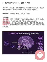 怎么获得四种大脑快乐激素
✨ 解锁大脑的快乐密码！500字带你玩转D.O.S.E.能量补给站 ✨
大家有没有发现，有时候我们会莫名感到动力十足，有时候又只想瘫在沙发上自我怀疑？其实，这背后全是大脑里的“快乐激素”在操控！🧠
想要科学地掌控快乐？这篇 D.O.S.E. 补给指南 请一定要收藏！👇
1️⃣ 多巴胺 (Dopamine)：你的“动力源泉” 🚀
多巴胺不是奖励本身，而是追求目标时的渴望。它让你产生“我能行”的掌控感。
获取捷径： 拒绝拖延！把大任务拆解成清单，每打一个勾，多巴胺就爆发一次！此外，补充富含酪氨酸的肉类或坚果，保证睡眠，都能让你的“动力电池”时刻满格。
2️⃣ 内啡肽 (Endorphins)：天然的“止痛良药” 🧘‍♂️
它是身体为了对抗压力和痛苦而分泌的，能带来运动后的那种“酸爽”和极度的平静。
获取捷径： 冲刺跑、举重或是酣畅淋漓的HIIT！如果你不想动，大笑一场、尝试吃点辣，甚至吃一块高纯度黑巧克力，都能骗大脑释放这种“痛并快乐着”的精华。
3️⃣ 血清素 (Serotonin)：情绪的“稳定锚点” ☀️
如果你感到焦虑或莫名沮丧，可能是血清素不足。它决定了你的宁静感和自信度。
获取捷径： 每天去户外晒20分钟太阳，配合有氧散步，效果立竿见影！别忘了照顾好你的肠道（90%的血清素源自这里），多喝酸奶，多练习正念冥想。
4️⃣ 催产素 (Oxytocin)：爱的“情感粘合剂” ❤️
它能降低压力水平，让你感受到被爱与被需要。
获取捷径： 别害羞，去拥抱你的爱人或家人20秒以上！或者回家疯狂撸猫撸狗。真诚地赞美同事，或帮邻居提个东西，这种社交连接产生的温暖就是催产素。
🌈 快乐总结表：
> 多巴胺：奖赏与动力 → 搞定任务、享用美食
> 内啡肽：镇痛与耐力 → 疯狂运动、开怀大笑
> 血清素：宁静与稳定 → 户外阳光、冥想呼吸
> 催产素：爱与连接 → 亲密拥抱、社交互动
快乐不是运气，而是一种可以被管理的生理状态。
