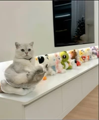 人生99%的烦恼，来源于你高估了他人对你的在乎。配图