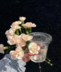 生活的糖要自己加
别人把握不了你的口感配图