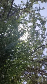 真正的自信并不是建立在外界的成功或失敗之上，而是對自己有清晰的認(rèn)識和接納。

無論是優(yōu)點(diǎn)還是缺點(diǎn)，都應(yīng)該平等地看待它們。自信并不是沒有缺點(diǎn)，而是即使有缺點(diǎn)也能坦然面對。配圖