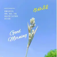 蝴蝶效应：

在一个动力系统中，初始条件下微小的变化能带动整个系统的长期的巨大的连锁反应。说明事物发展的结果，对初始条件具有极敏感的依赖性。

举例：一位男士因为早上和妻子吵架，心情郁闷，在工作中频繁出错，导致项目进度受阻。这个小小的家庭矛盾就像蝴蝶扇动的翅膀，最终对工作这个更大的系统产生了一系列的负面影响。