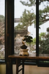 真正能改变人命运的，是干，所有的短暂的过度，都是为了我去看清真相，看清人性。然后我转身就不会回头。配图