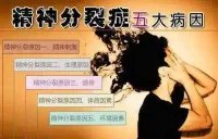 精神分裂是怎么引起的？

精神分裂症的病因尚未完全明确，目前认为是多种因素相互作用的结果：
 
遗传因素
 
具有明显遗传倾向，是多基因遗传病 。若家族中有精神分裂症患者，亲属患病风险比常人高。比如，同卵双生子中一方患病，另一方患病可能性约40 - 50% ；异卵双生子这一概率降至10 - 15% 。
 
生理因素
 
- 神经递质异常：神经递质负责大脑神经元间信息传递，多巴胺、血清素、谷氨酸等神经递质失衡，可致大脑功能紊乱。如多巴胺功能亢进，可能引发幻觉、妄想等阳性症状 ；谷氨酸功能不足，与认知功能障碍等阴性症状有关。
 
- 脑结构异常：患者脑部结构存在差异，像额叶、颞叶、脑室沟回等有不同程度变化，部分脑区体积缩小或功能异常，影响大脑正常功能。
 
- 神经发育异常：患者在童年期学说话、行走时间可能比正常儿童晚，运动协调能力欠佳 ，提示神经发育过程可能出现问题，影响大脑正常发育和功能。
 
环境因素
 
- 孕期感染：孕期母亲感染病毒等病原体，可能影响胎儿神经系统发育，增加孩子日后患精神分裂症风险。
 
- 分娩因素：分娩时出现早产、缺氧、窒息或宫内感染等，影响胎儿脑部神经正常生长发育，可能引发疾病。
 
- 生活应激事件：长期处于高压力环境，经历重大生活事件如失业、失恋、亲人离世等，或童年期遭遇创伤性经历如虐待、忽视等，通过与遗传易感性相互作用，增加患病几率。
 
心理因素
 
性格敏感、脆弱、孤僻、内向、多疑等人群，面对压力和挫折时，心理调适能力差，易产生抑郁、焦虑等情绪问题，可能增加患精神分裂症风险。
 
其他因素
 
- 药物滥用：长期滥用某些精神活性物质，如冰毒、摇头丸等毒品，或大剂量使用安非他酮等药物，损伤脑神经，增加患病风险。
 
- 免疫异常：免疫系统异常影响大脑发育和功能，可能参与精神分裂症发病，但具体机制尚在研究中。配图