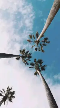 底层自信的方法论：用你的优势不断地去肯定自己，给自己创造一条自我培养的正向循环的路，你就会越来越自信。配图