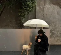 生活就是這樣配圖