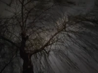 其實，我們避免不了一個事實:那就是無論我們做什么動作，時間，它總會自然地流逝，我說:“我想和你一起珍惜時間?！蔽乙矔f:“任由時間流逝?！奔热蛔ゲ蛔?，那就瀟灑一點，什么都不抓，或許那也叫自由。所謂的阻礙，當你一不小心又繼續投入了動作拆解逐一清掃，很快便蕩然無存。配圖