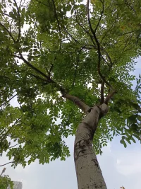 記住，你做的所有事情都是為你自己做的。而不是其他任何人。這么簡單的一句話，但很多人都記不住，任由自己迷失在巨大的廣告世界里。配圖