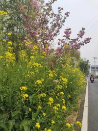 如果你无法改变你的生活方式，
请接纳它，爱上它，
因为那是你自己的选择。配图