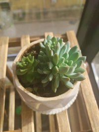 我们不是被事件困扰，而是被对事件的看法困扰。配图