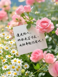 晚風幾許惹人意，日落黃昏知我心配圖