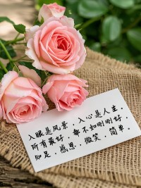 或许我们都有苦衷，所以尽力选择随缘。配图