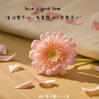 允許自己像塊電量不足的電池，
窩進(jìn)被窩充會(huì)兒電。
生活不需要24小時(shí)待機(jī)，
關(guān)機(jī)重啟時(shí)，世界依然愛你如初。配圖