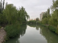 來(lái)吸氧?配圖