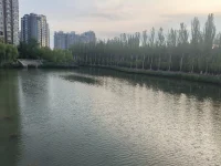 媽媽賜我六個太陽，無論怎樣陰郁的天氣，內(nèi)心都有光明
心態(tài)動蕩的時候，想想為什么走到了今天配圖
