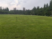 清晨跑步，見到一位步履蹣跚的父親拄著拐杖，向前一點點挪動著碎布，顯然這不是一天兩天了，讓人心疼，身旁的女兒攙扶著他，陪伴著他，一邊用語言鼓勵著他，一邊教父親怎樣可以更省力......這一幕?也許當她還是個學走路的小孩子時，父親也是這樣一點點耐心的教她的?
情義無價，所有的真情都不是用金錢物質去衡量的，就像父親曾經(jīng)對女兒的愛，和女兒長大后回饋給父母的愛一樣，不需要用房，用車，用金銀首飾，用物質去計算...??愿全天下的父母都長命百歲，每個人都身心健康，能夠成長在充滿愛的環(huán)境，有一顆充滿愛心的善良的靈魂配圖