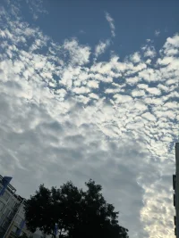 人生可以破碎，但不可以枯萎??配圖