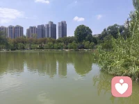 生而自由，爱而无畏配图