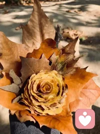 不保留的，才叫青春。不解释的，才叫从容。不放手的，才叫真爱。不完美的，才叫人生。配图