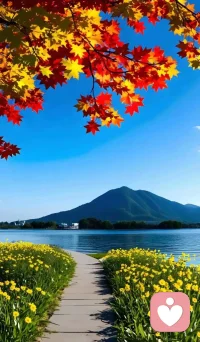 此心安處是吾鄉配圖