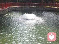 心力生萬物?配圖