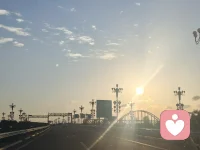 走了...去感受生命...配圖