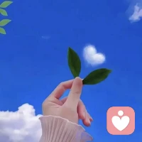 再遇见记得给我买束花
