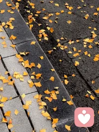 遇到善的人，會激發你的善，遇到惡的人，會激發你的惡配圖