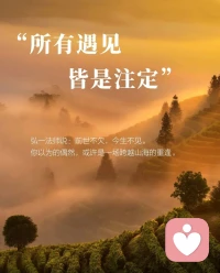 世界上沒有兩片相同的樹葉，我們都是獨一無二的配圖