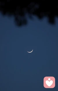 失眠的時候別數??了，還是酒精吧配圖