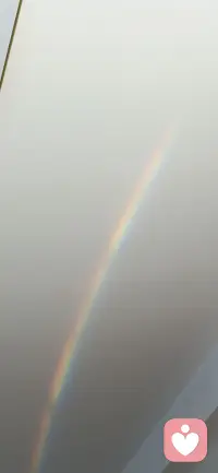 都是礼物🎁╭(╯ε╰)╮每个标点符号都在