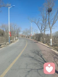 春暖花开，幸福自来，你若安好，我便是晴天