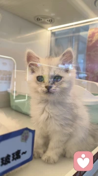 未曾相逢的人儿，终将在某处相遇相知♥配图