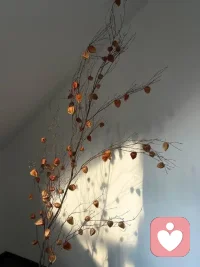 所有的不期而遇都是努力埋下的伏笔