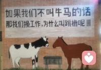安心做牛马，活在当下，生命就是如此普通无奈